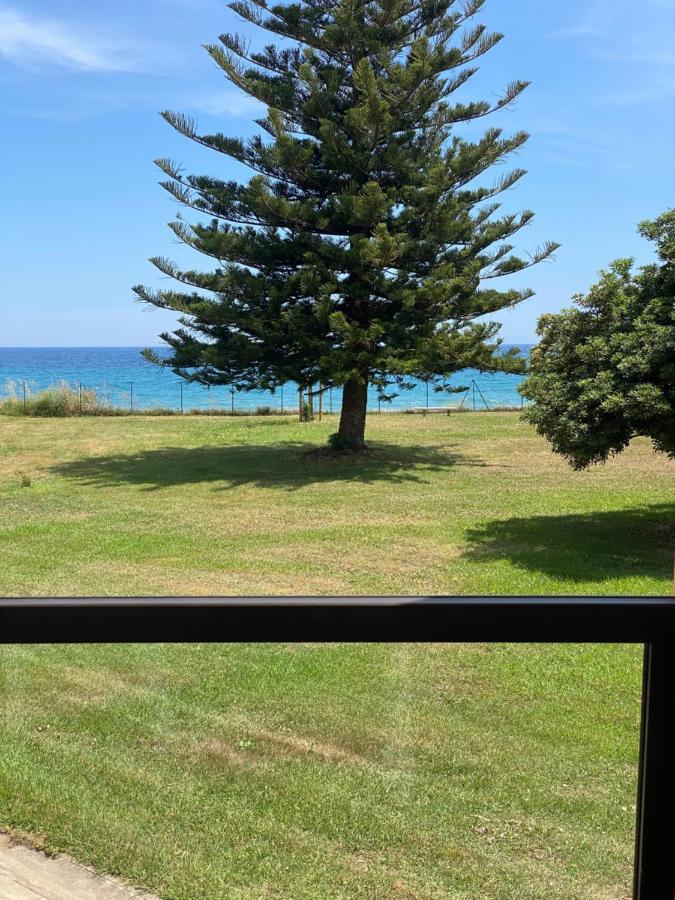 Appartement N 216 Moriani Plage Santa-Lucia-di-Moriani Exteriör bild
