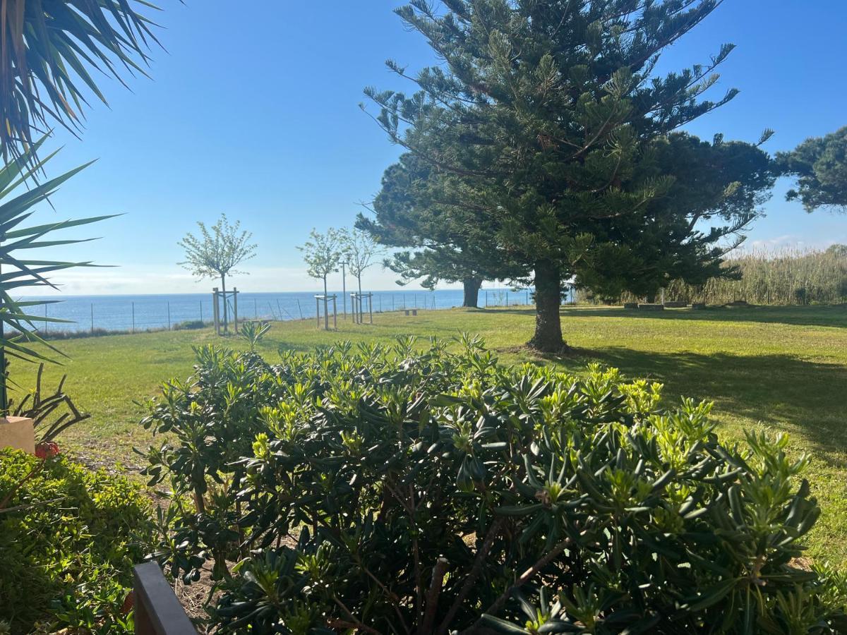 Appartement N 216 Moriani Plage Santa-Lucia-di-Moriani Exteriör bild